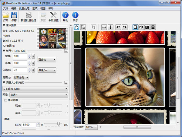 PhotoZoom Pro(ͼƬŴ) V6.1.0 İ