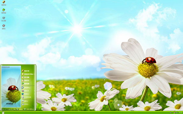 瓢虫停落花朵Win8主题