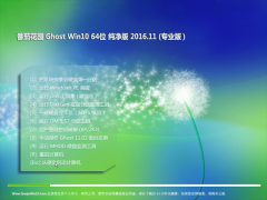 ѻ԰Ghost Win10 64λ 칫v201611()