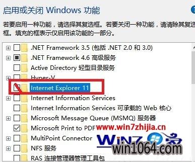 Win10ϵͳieͼ޷ɾν