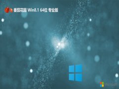 ѻ԰win8.164λͨþv2024.05