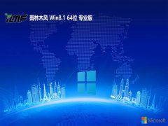 ľwin8.1ഺְ64λv2025.05