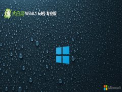 ײwin8.164λͥȫv2025.05