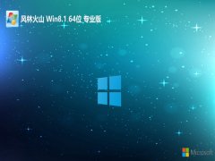 ֻɽwin8.1 64λ ⼤ر羺v2024.05