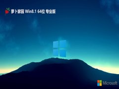 ܲ԰win8.1 64λǿv2024.05