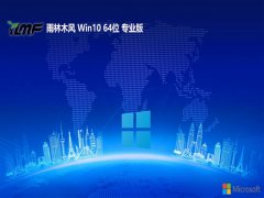 ľ64λwin10ڲv2025.05