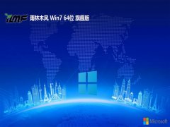 ľwin7 64λ ⼤ر羺v2025.05