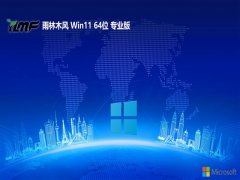 ľ⼤win11 64λϷǿv2025.05