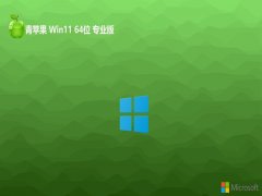 ƻϵͳwin11⼤64λɫ°v2025.05