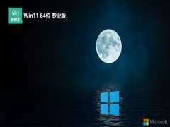 ʿ64λwin11๦ܵذv2025.05