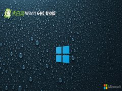 ײwin11 64λϵǿv2025.05⼤